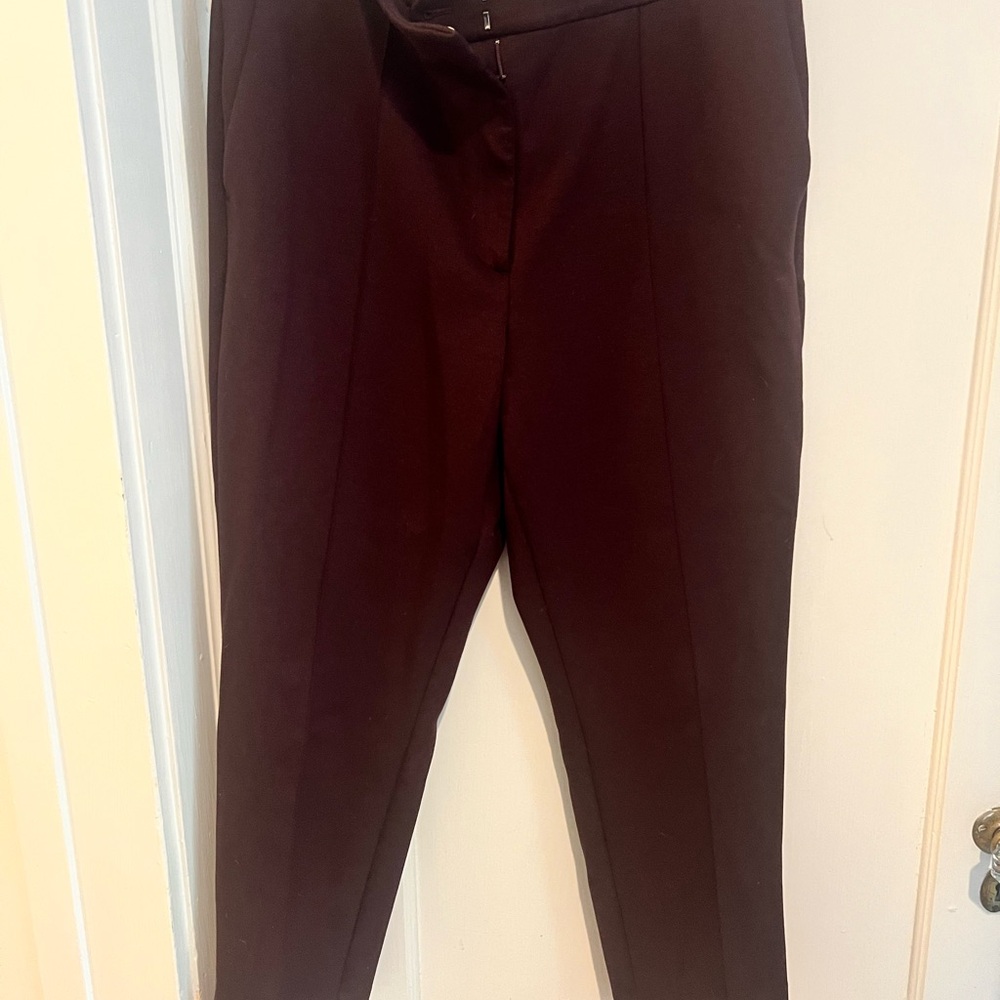 Ann Taylor Plum Ankle Pants